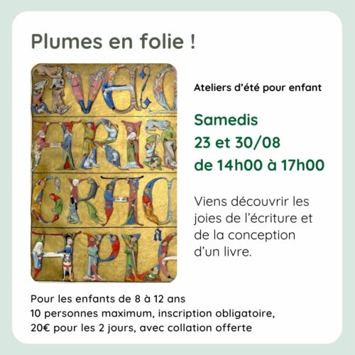 Plumes en folie-2025